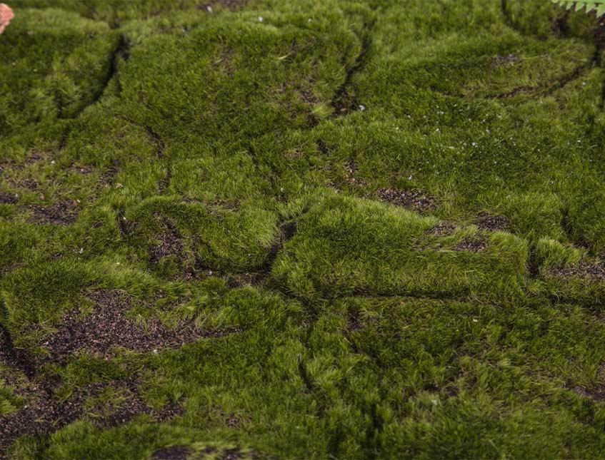 Pannello moss sintetico cm. 60 x 40 H 5 - Sconti per Fioristi e Aziende e Wedding