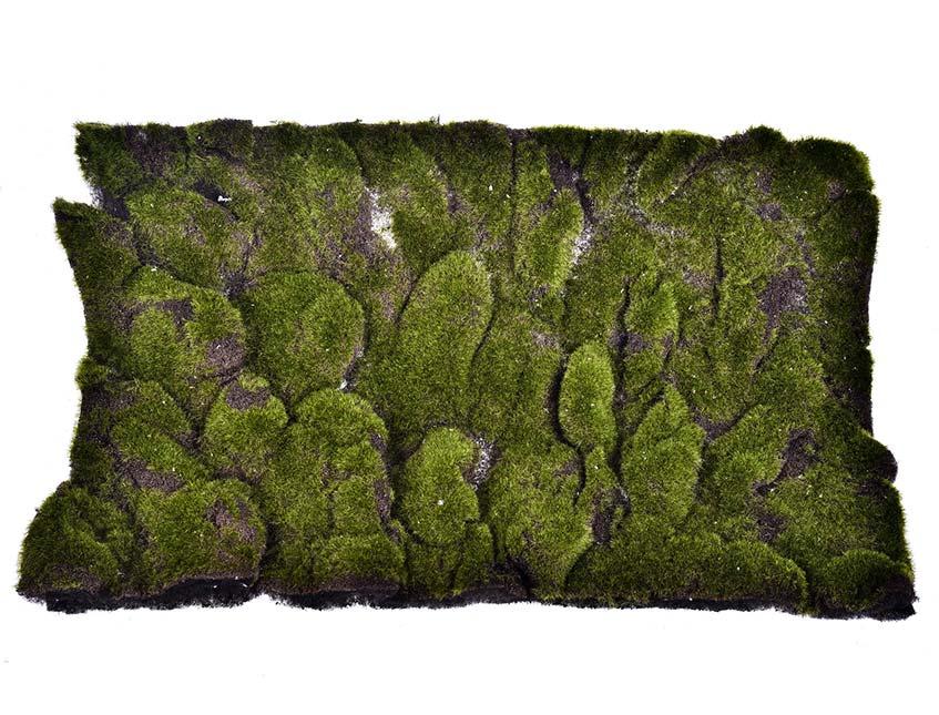 Pannello moss sintetico cm. 60 x 40 H 5 - Sconti per Fioristi e Aziende e Wedding
