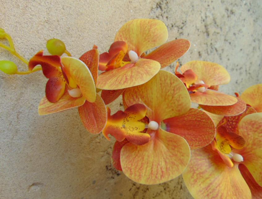 Phalenopsis x 9 in poliester - Sconti per fioristi e aziende . - Real touch