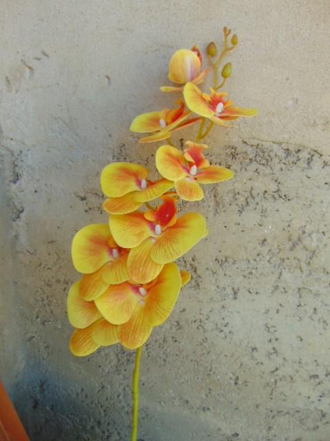 Phalenopsis x 9 in poliester - Sconti per fioristi e aziende . - Real touch