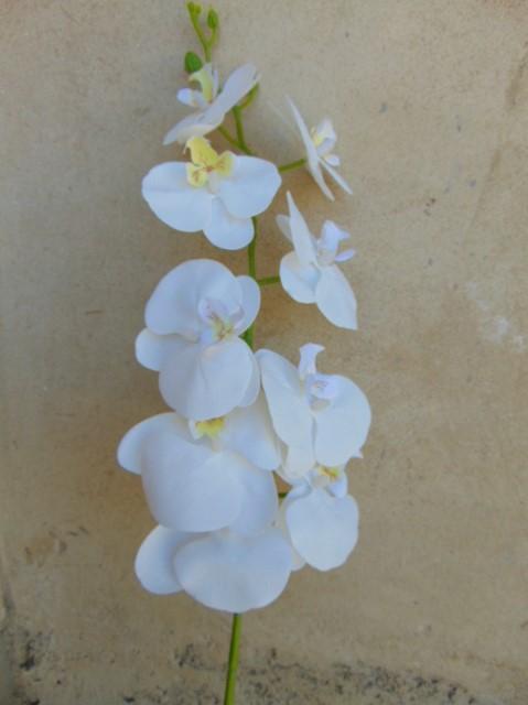 Phalenopsis x 9 in poliester - Sconti per fioristi e aziende . - Real touch