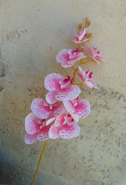 Phalenopsis x 9 in poliester - Sconti per fioristi e aziende . - Real touch
