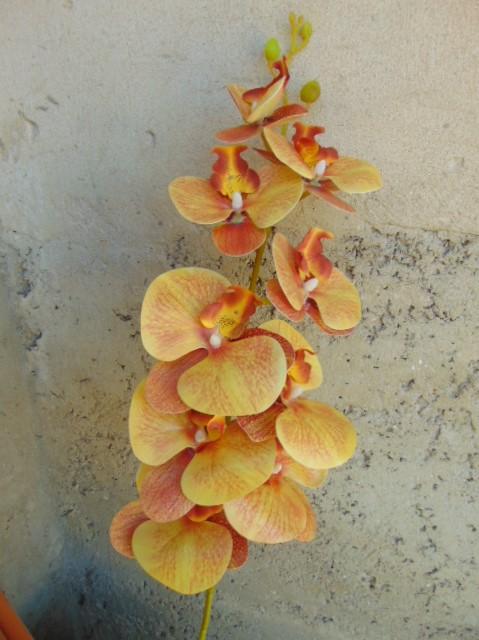 Phalenopsis x 9 in poliester - Sconti per fioristi e aziende . - Real touch