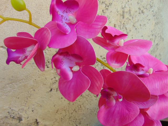 Phalenopsis x 9 in poliester - Sconti per fioristi e aziende . - Real touch