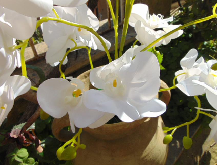 Orchidea Plant in poliestere - Sconti per fioristi e aziende . - x 9