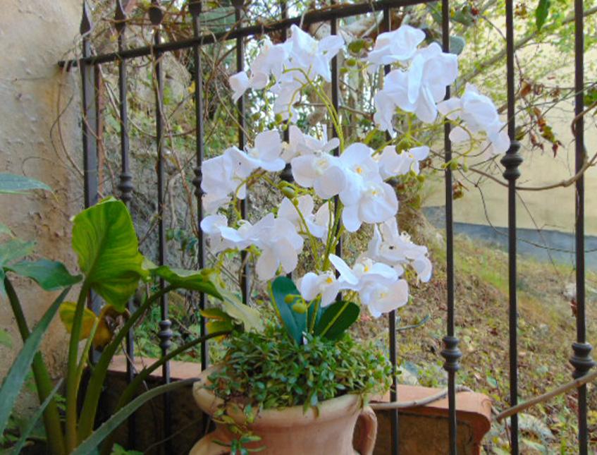 Orchidea Plant in poliestere - Sconti per fioristi e aziende . - x 9