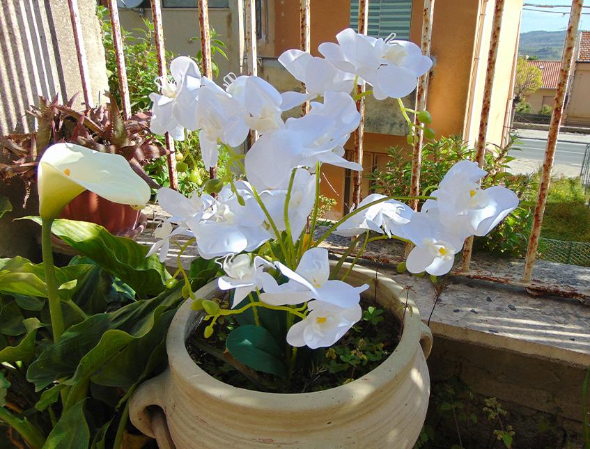Orchidea Plant in poliestere - Sconti per fioristi e aziende . - x 9
