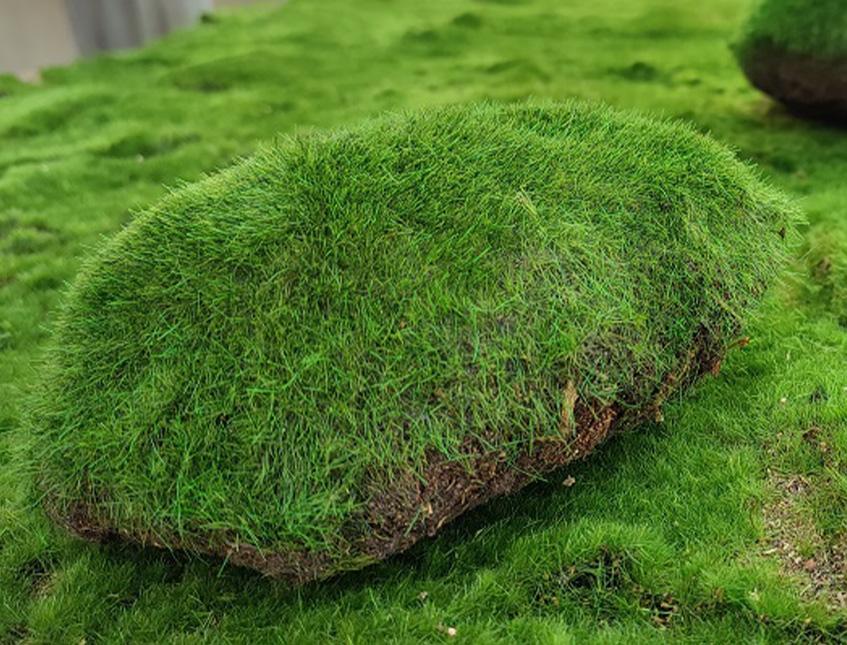Ball Moss x 2 sintetico cm. 22X22 + CM.15/25 - Sconti per Fioristi e Aziende e Wedding