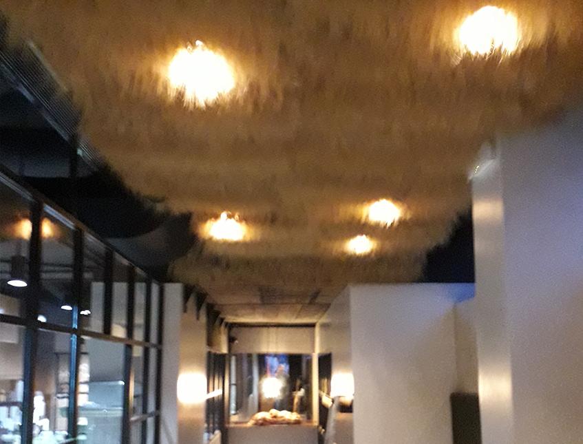 Soffitto Spighe di grano preservate a metro quadrato per Ristoranti, Hotels e Resort