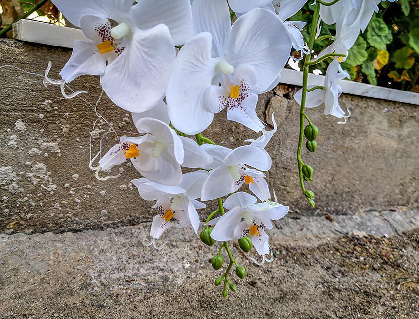 Phalenopsis Cadente x 3 H 113 - Sconti per Fioristi e Aziende . - In poliester