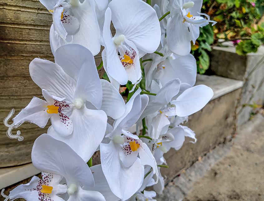 Phalenopsis Cadente x 3 H 113 in poliestere - Sconti per Fioristi e Aziende  e Wedding - San Michele di Ganzaria (Catania)