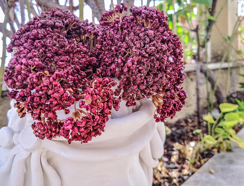 Akillea Artificiale Bordeaux H 34 - Sconti per Fioristi e Aziende - In poliester