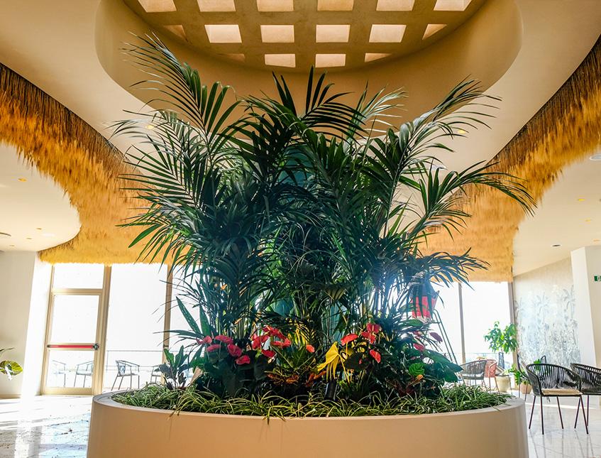 Soffitto Spighe di grano preservate a metro quadrato per Ristoranti, Hotels e Resort