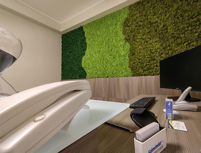 Parete Moss Stabilizzata  - Soluzione personabilizzabile - per eventi e interior designer