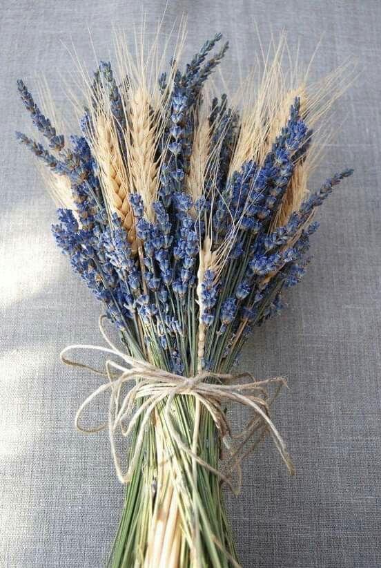 Lavanda naturale profumata Mazzo gr. 40- Sconti per Fioristi e Aziende . -  H 30
