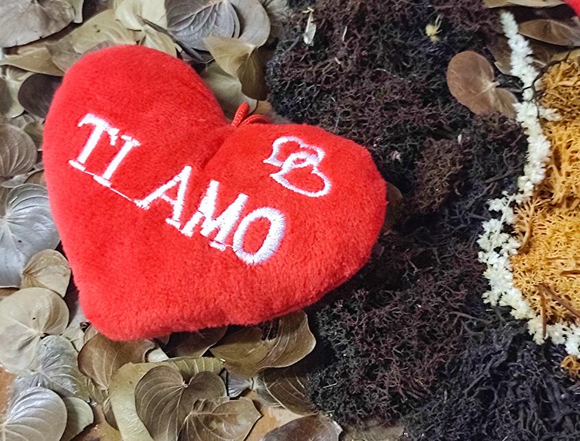 Cuscino Cuore Velluto Rosso - Sconti per Fioristi e Aziende - Adattio per San Valentino
