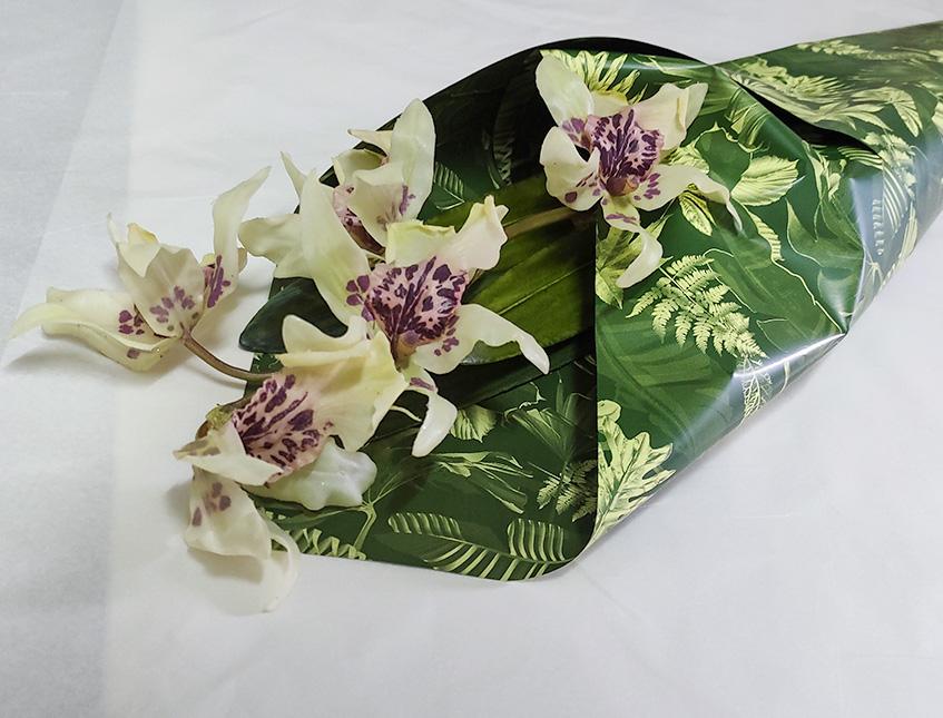 Fogli 70X70 Best Verde Sconti per Fioristi, Wedding e Aziende