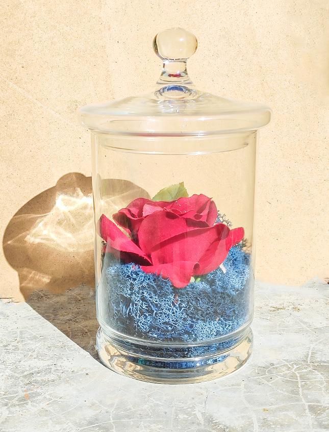 Confettiera in Vetro Con Coperchio H 28 dm 16 cm. Sconti per Fioristi, Wedding e Aziende