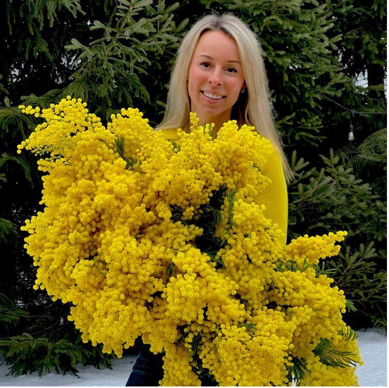 Mimosa Fresca box Kg. 3 -  Sconti per rivenditori - Acacia Dealbata - Goulois
