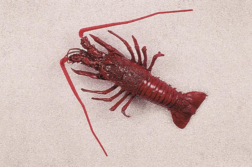 Aragosta mediterranea artificiale in plastica - Sconti per Fioristi e Aziende . - 33x19 cm