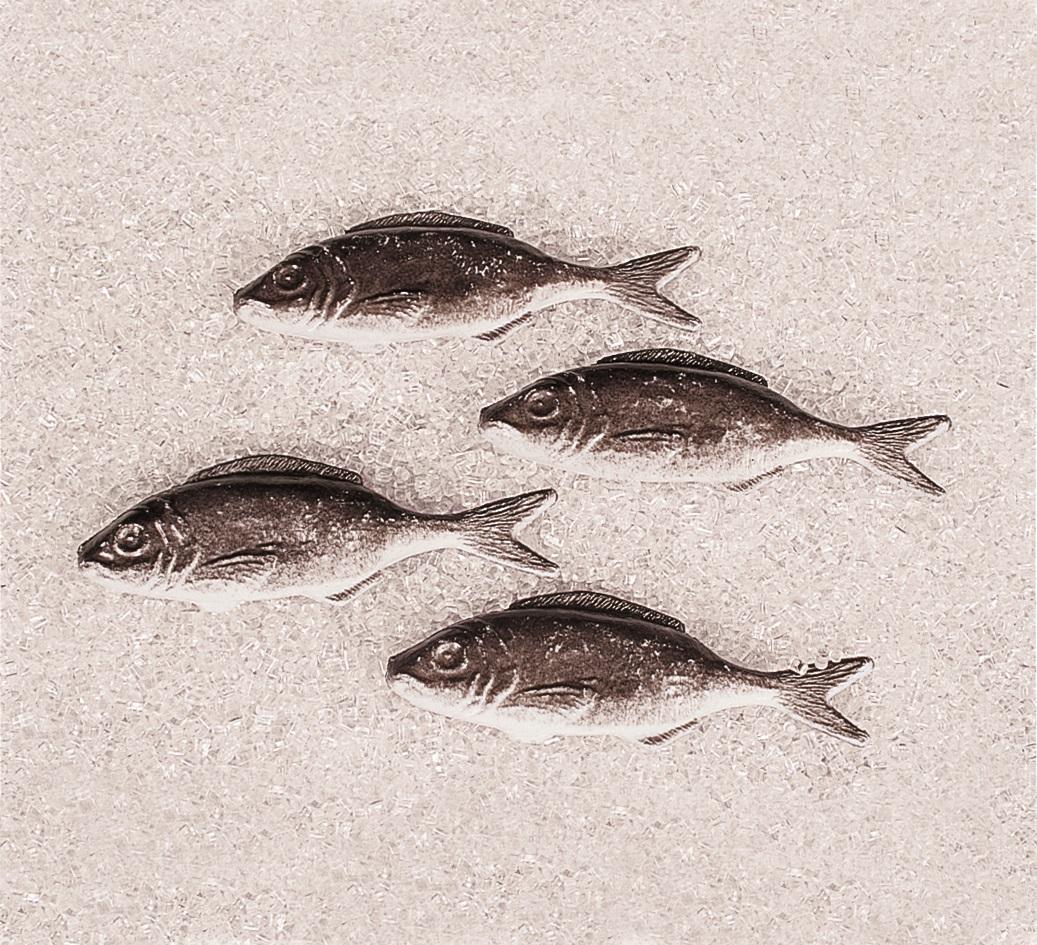 Sardina artificiale in plastica - Sconti per Fioristi e Aziende . - 12x4 cm