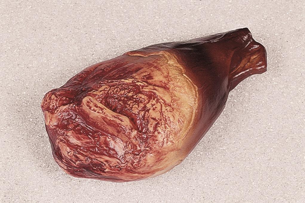 Prosciutto di praga artificiale in plastica - Sconti per Fioristi e Aziende . - 18 x 32 cm