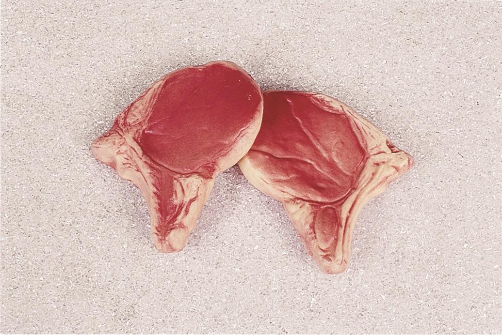 Braciola di maiale artificiale x 2 pezzi in plastica - Sconti per Fioristi e Aziende . - 13.5 x 10 cm