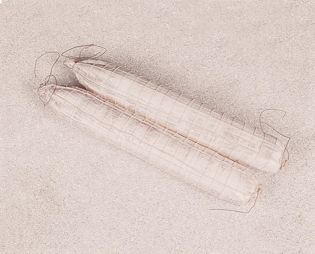 Salame bianco con rete artificiale x 2 pezzi - Sconti per Fioristi e Aziende . -  in plastica