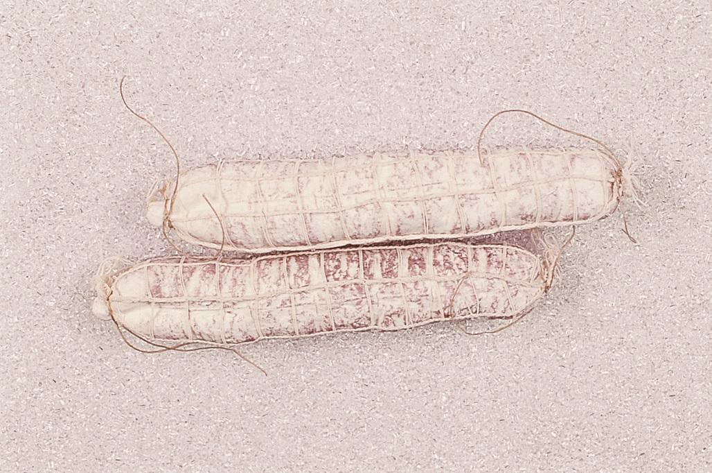 Salame bianco grande con rete artificiale x 2 pezzi - Sconti per Fioristi e Aziende . -  in plastica