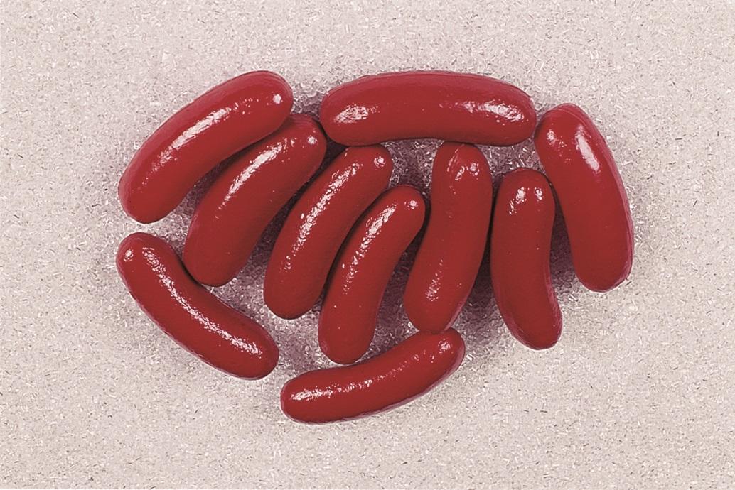 Wurstel artificiale x 10 pezzi - Sconti per Fioristi e Aziende . - in Plastica