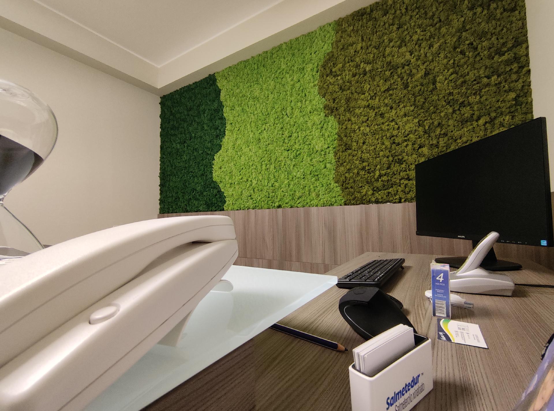 Pannello Moss in Flat Work  - Soluzione personalizzabile per eventi e interior designer