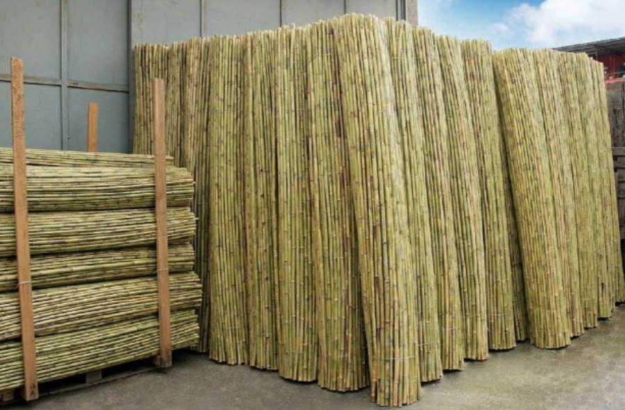 Arella di Canniccio Legato  - Sconti per Fioristi e Aziende . - Canna Intera H 200 x 3 metri