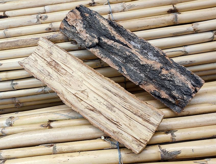 Corteccia di Catappa Bark x 6 -  Sconti per Fioristi e Aziende . -  cm. 25 x 7