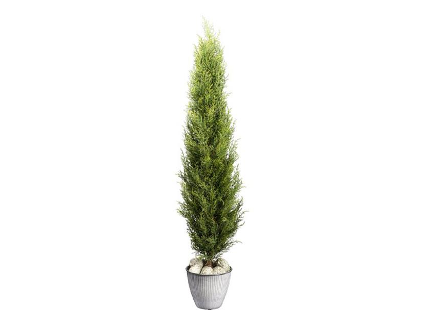 Thuja Verde Emerald H 150 - Sconti per Fioristi e Aziende . Artificiale in vaso