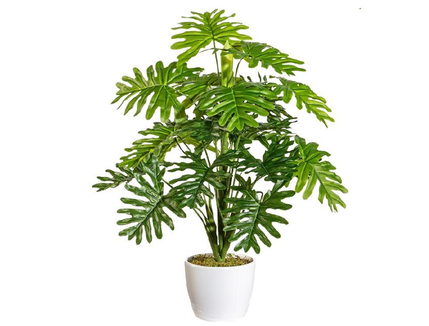 Monstera H 50 con 22 foglie - Sconti per Fioristi e Aziende . - Artificiale