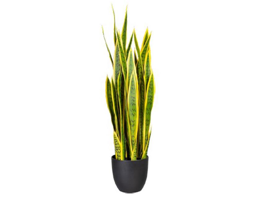 Sanseveria Trifasciata H 90  - Sconti per Fioristi e Aziende . - Artificiale x 29 foglie in vaso