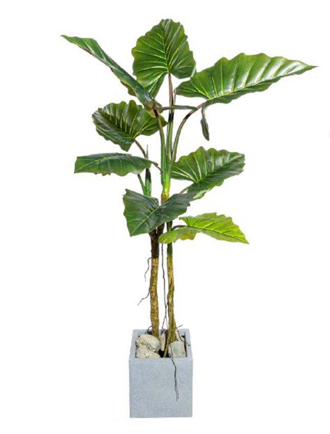 Colocasia H 140 con 8 foglie  - Sconti per Fioristi e Aziende . - Artificiale con vaso