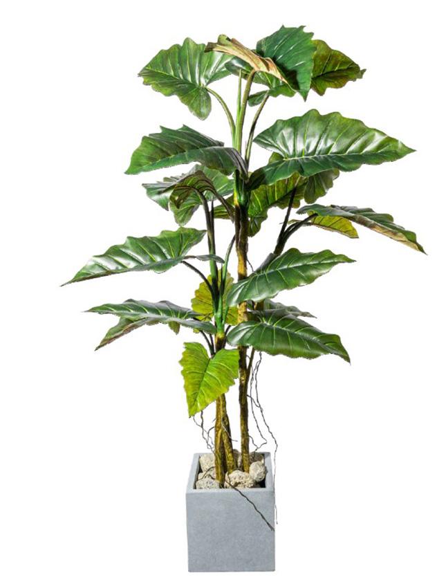 Colocasia H 180 con 19 foglie - Sconti per Fioristi e Aziende . - Artificiale con vaso