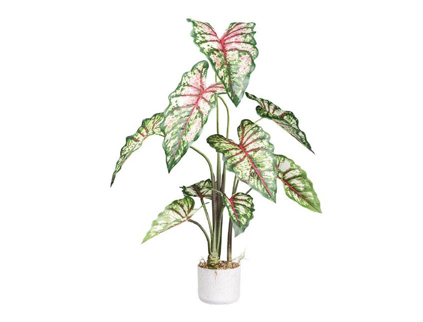 Caladium H 100 con 9 foglie - Sconti per Fioristi e Aziende . - Artificiale con vaso