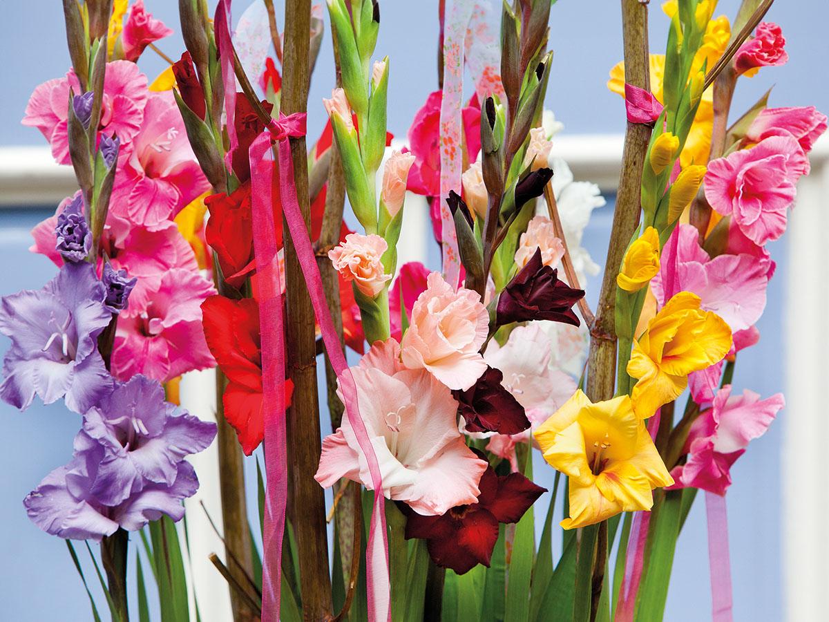 Gladiolo Artificiale H 108 x 10 fiori - Sconti per Fioristi e Aziende . -In poliestere