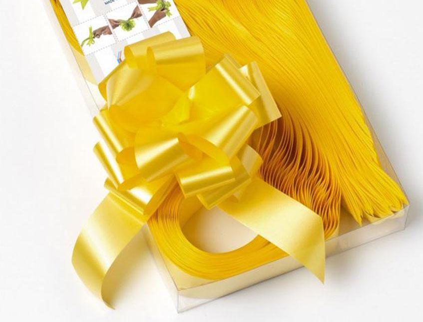 Fiocco Rapid H 31 x 50 fiocchi - Sconti per Fioristi e Aziende - Fiocchi Temo saldati