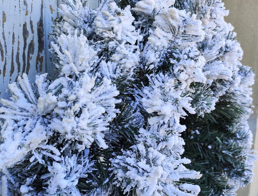 Corona di Pino/Abete dm. 61 - Sconti per Fioristi e Aziende - innevata