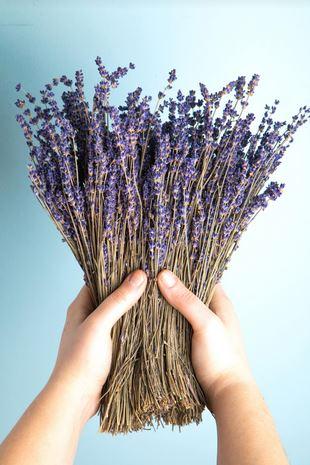 Lavanda naturale profumata Mazzo gr. 40- Sconti per Fioristi e Aziende . -  H 30