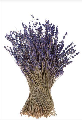 Lavanda naturale profumata Mazzo gr. 40- Sconti per Fioristi e Aziende . -  H 30