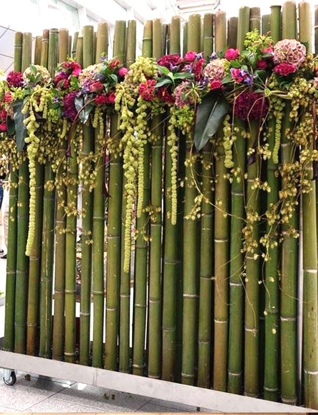 Canne di bamboo naturale  altezze e diametri diversi - Sconti per Fioristi e Aziende