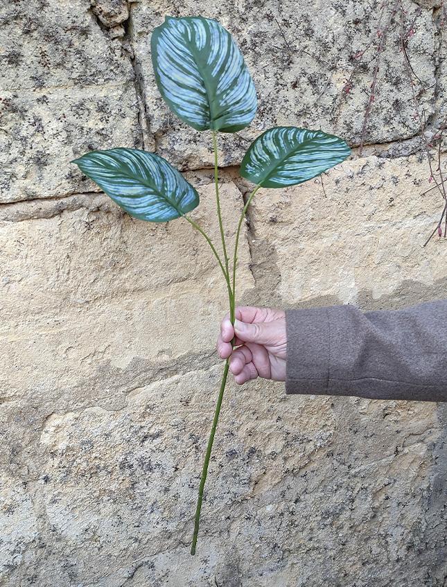 Calathea x 3 H 71 cm. -  Sconto per Fioristi e Aziende - Artificiale