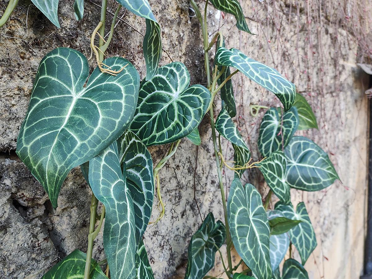 Anthurium garland H 110 - Sconto per Fioristi e Aziende . - Cadente in poliester