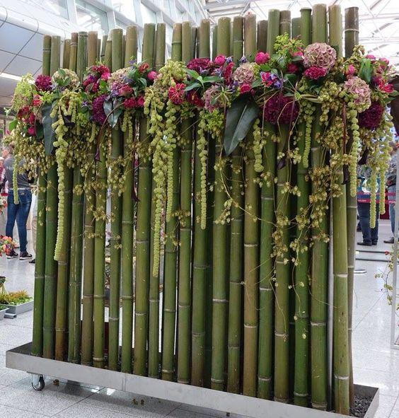 Canna di Bamboo dm 10/12 - Sconti per Fioristi e Aziende . - Alte cm.200