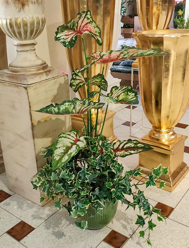 Caladium H 100 con 9 foglie - Sconti per Fioristi e Aziende . - Artificiale con vaso