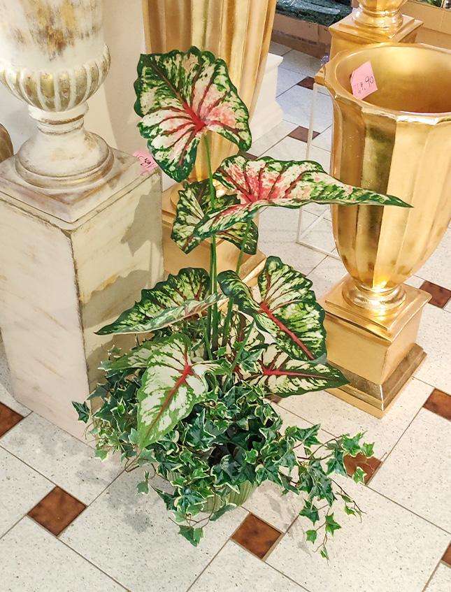 Caladium H 100 con 9 foglie - Sconti per Fioristi e Aziende . - Artificiale con vaso